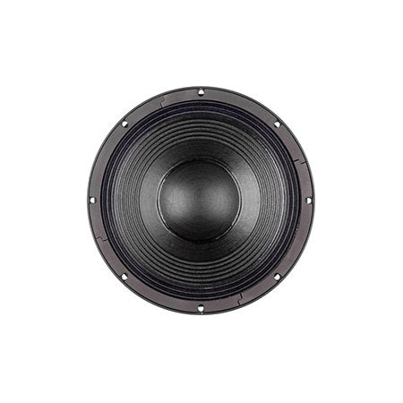 B&C Speakers - 12 PS 100