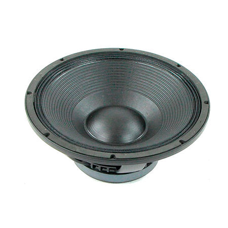 B&C Speakers - 15 PS 100
