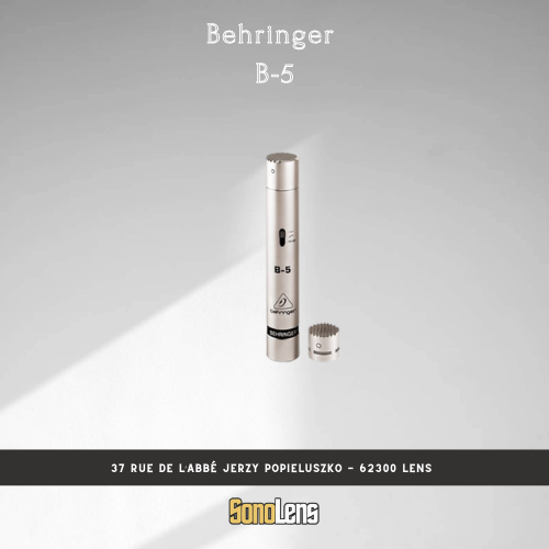 Location Micro Behringer B5