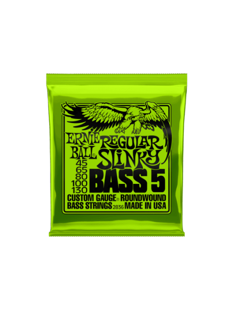 Ernie Ball - Regular slinky 5 cordes 45-130 - CEB 2836 