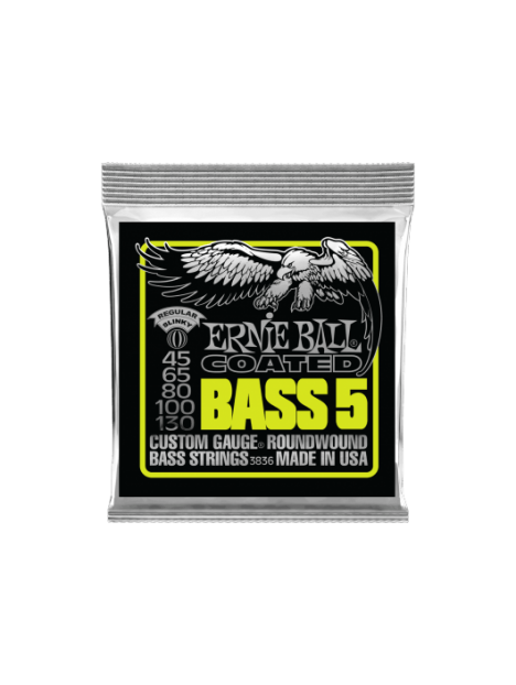 Ernie Ball - Slinky coated /5 cordes 45-130 - CEB 3836 