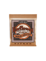 Ernie Ball - Earthwood phosphore bronze rock n blues 10-52 - CEB 2151 