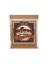 Ernie Ball - Earthwood phosphore bronze light /12 cordes 9-46 - CEB 2153 