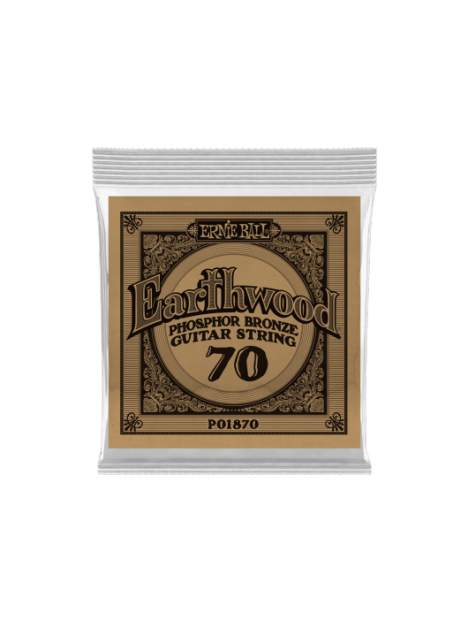 Ernie Ball - Earthwood phosphore bronze 070 - CEB 1870 