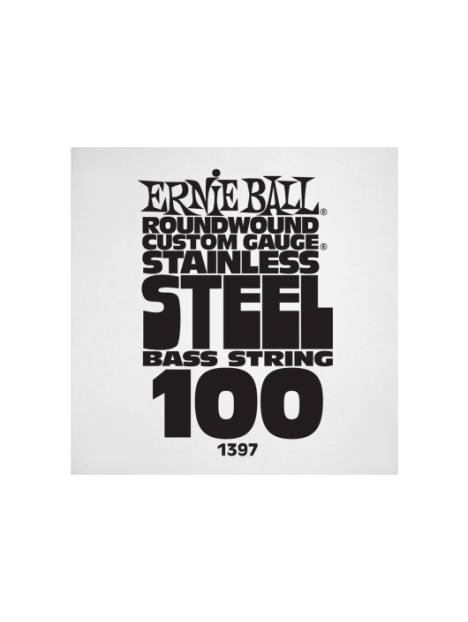 Ernie Ball - Slinky stainless steel 100 - CEB 1397 