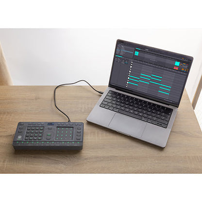 Pioneer DJ / AlphaTheta - Chordcat