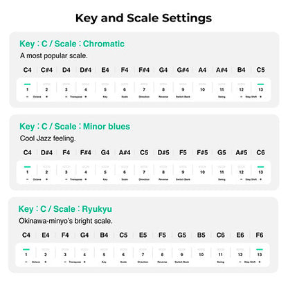 Pioneer DJ / AlphaTheta - Chordcat