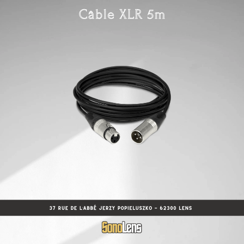 Location câble XLR 5m