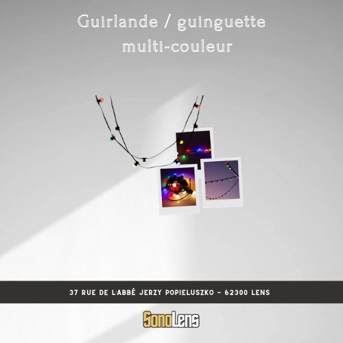Location guirlande / guinguette en couleur 10m intérieur et extérieur