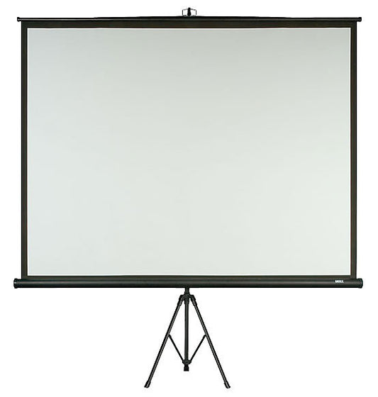 DMT - Tripod Screen 100"