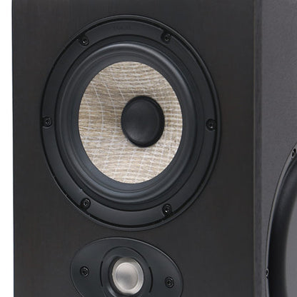 Focal - Shape Twin (La Pièce)