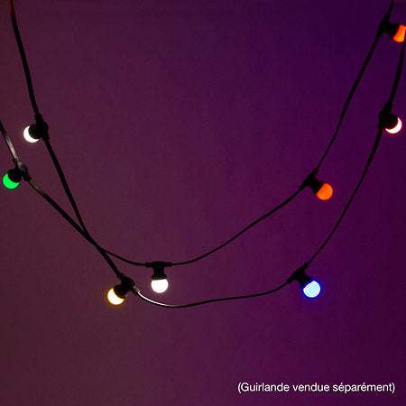 Mac Mah - LAMP-20COL