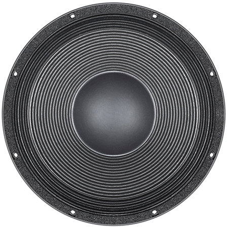 B&C Speakers - 15 DS 100