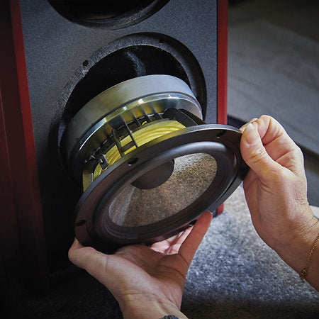 Focal - Solo6 ST6 (l'unité)