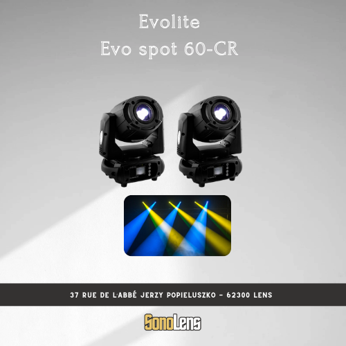 Location Pack 2 Lyres Spot 60W