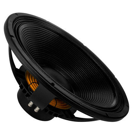 B&C Speakers - 18 NW 100