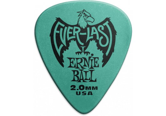 ERNIE BALL - AEB 9196