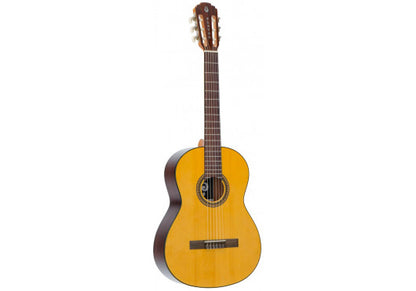 PLEYEL - P100