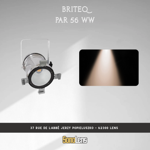 Location Projecteur PAR56-100WW blancs chaud