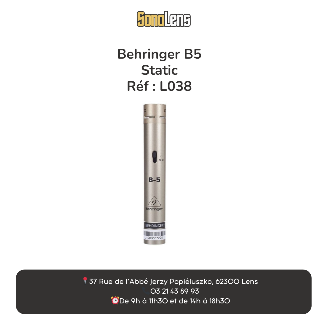 Location Micro Behringer B5
