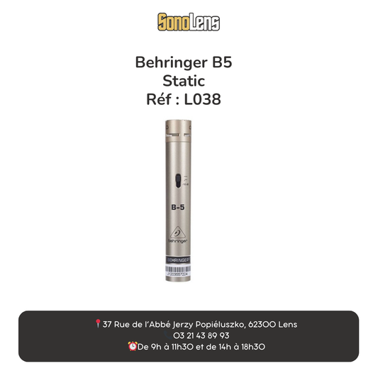 Location Micro Behringer B5
