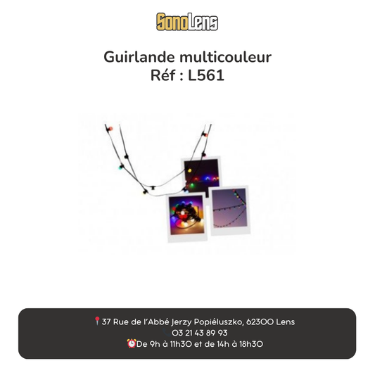 Location guirlande / guinguette en couleur 10m intérieur et extérieur