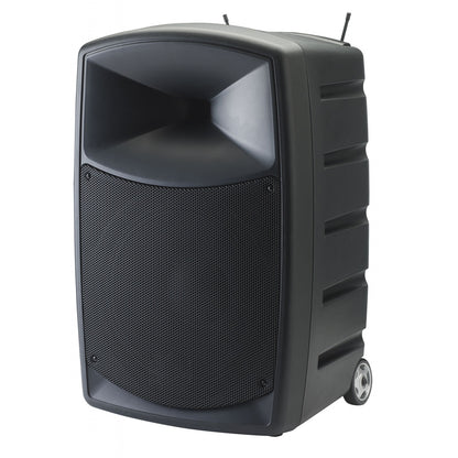 Location CR25A - Sono portable 250W RMS sur batterie + 2 micros HF