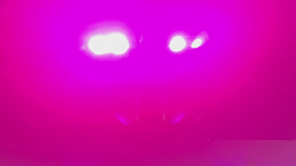 Location Pack Lumière 3